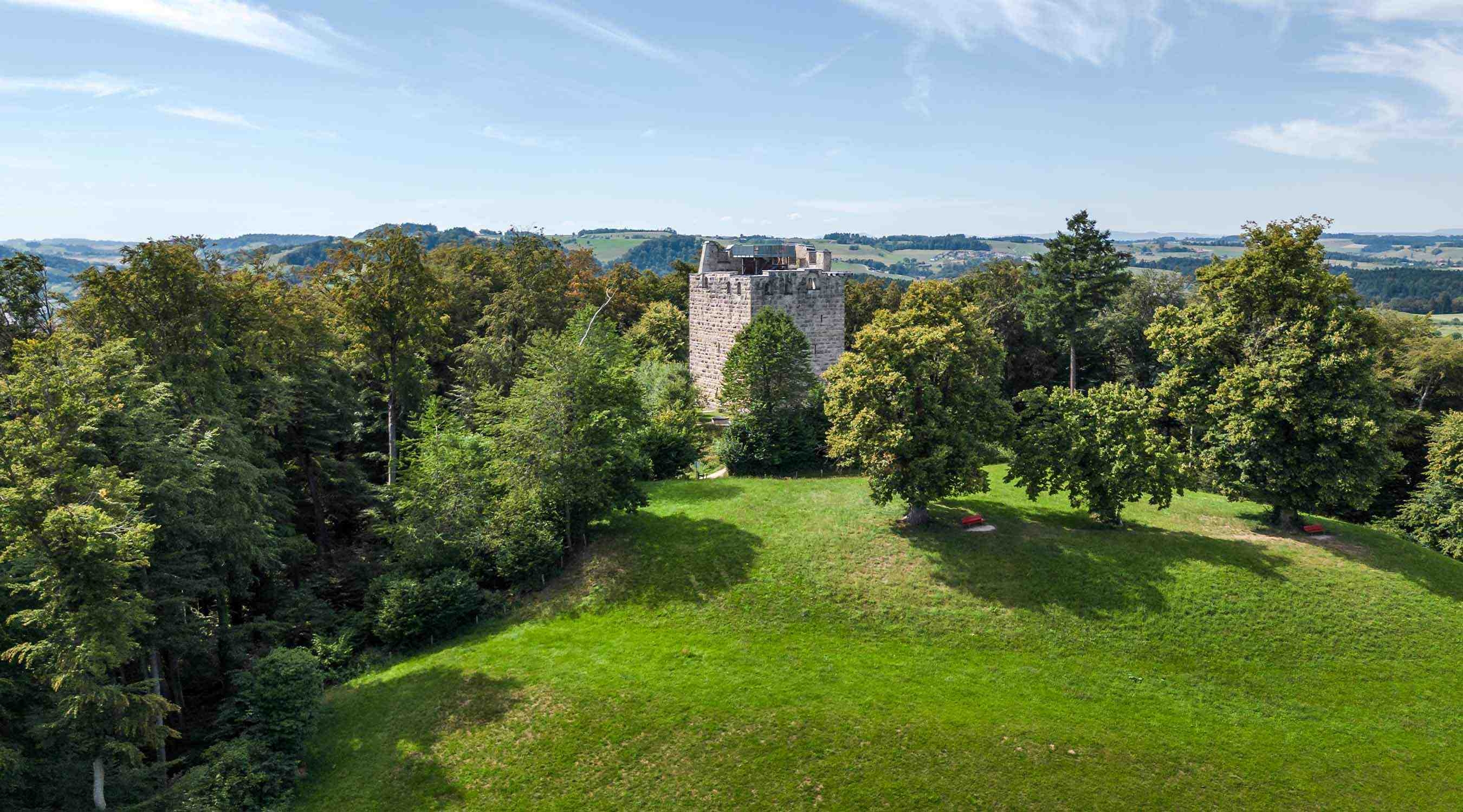 <p><strong>in Alberswil<br
/></strong>Burg Castelen</p>